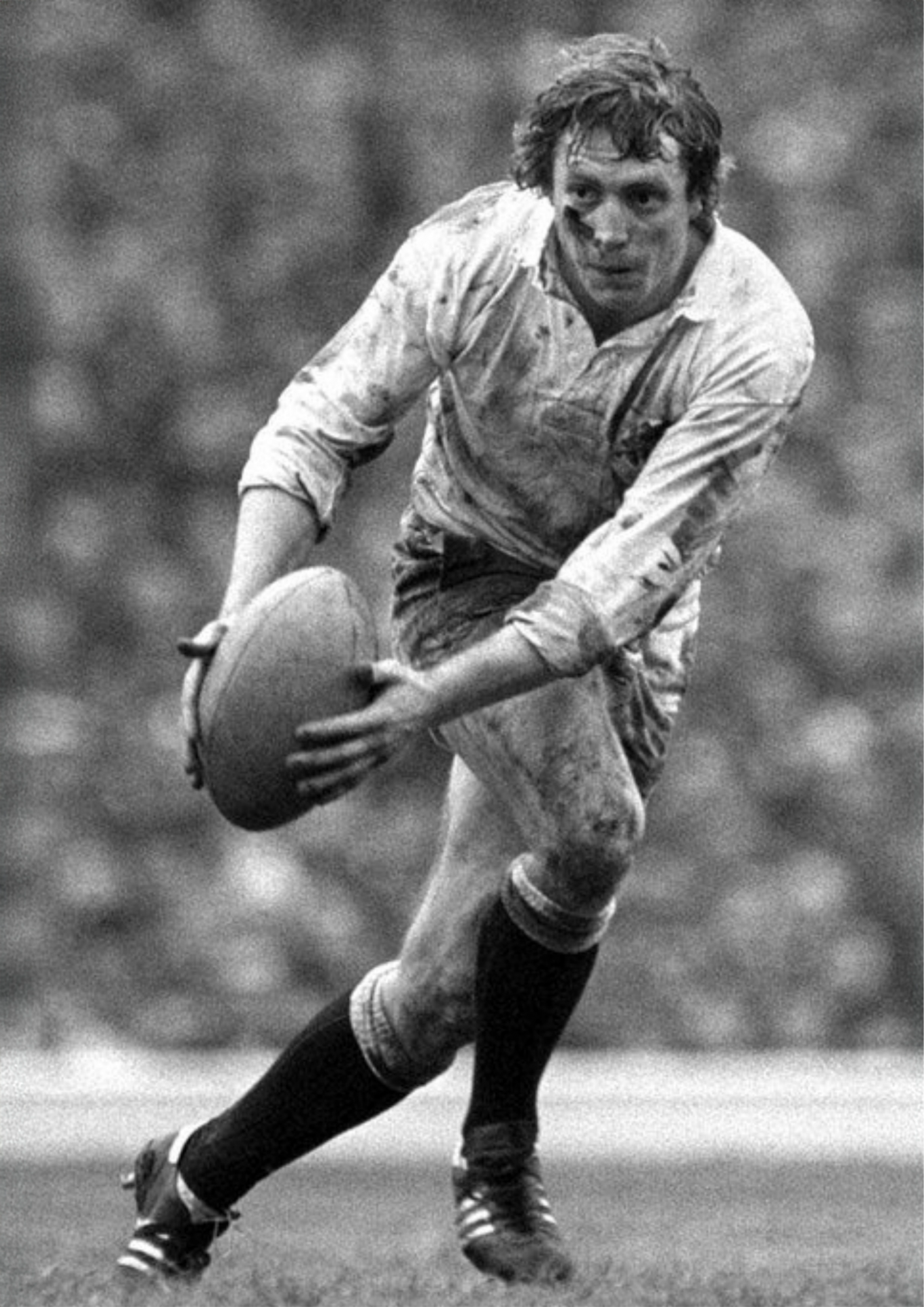 Steve Smith